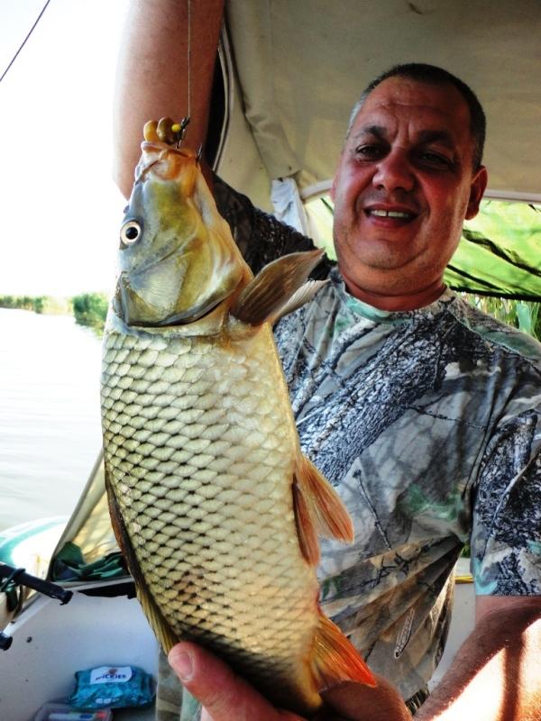 Delta iunie 2013 - dsc09832.JPG